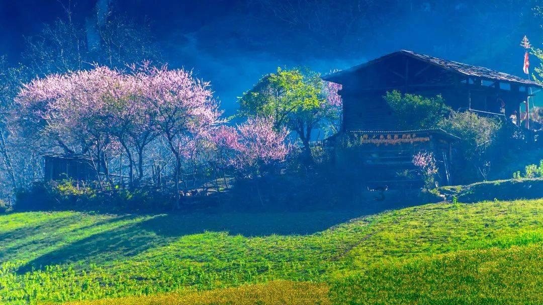 巫师三怎么拔剑