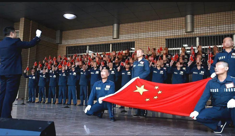 救援有趣的孔雀