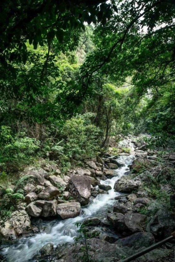山东章鼓上涨5.73%,报9.59元/股