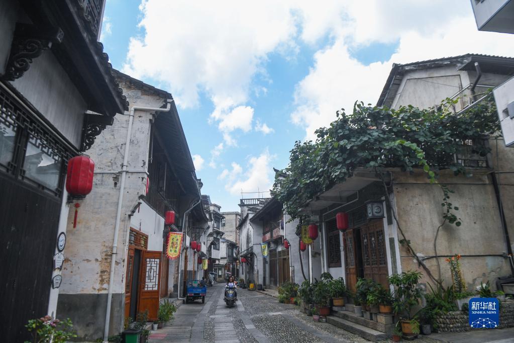 拯救精灵的土地5